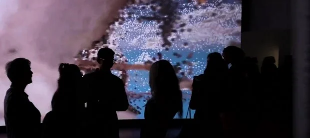 Silhouetted visitors face a large projected digital landscape.